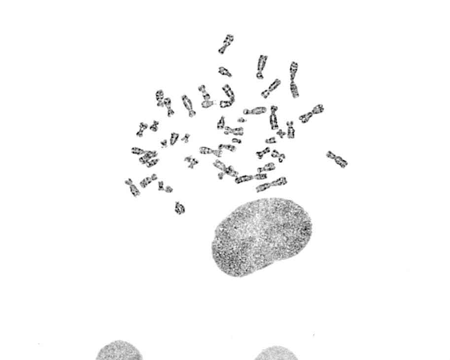G10
