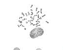 G10